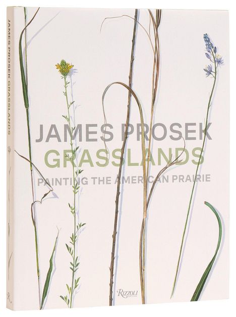 „JAMES PROSEK GRASSLANDS PAINTING THE AMERICAN PRAIRIE“ über Illustrationen von Gräsern und Blumen.