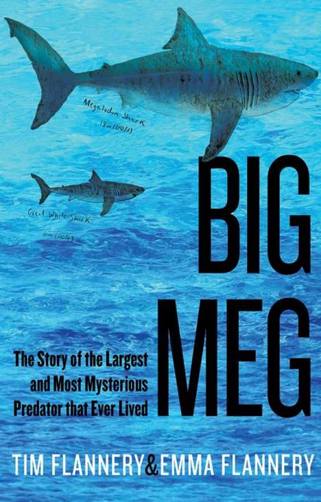 Tim Flannery: Big Meg, Buch