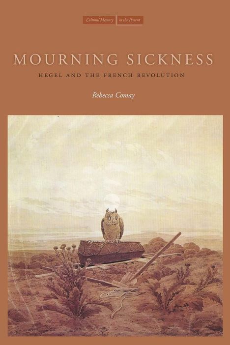 Rebecca Comay: Mourning Sickness, Buch