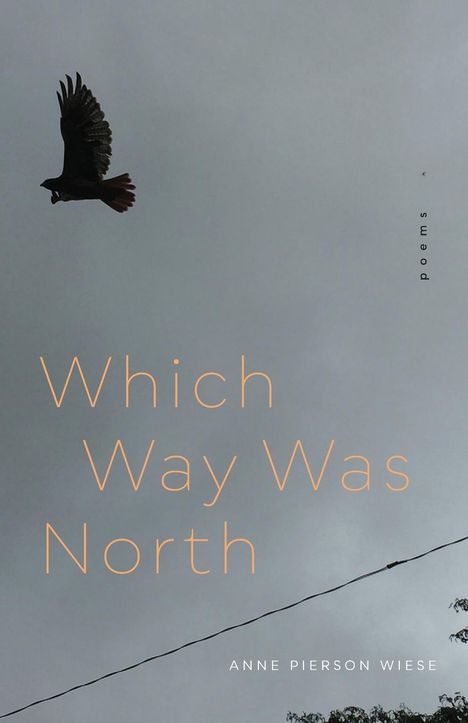 Anne Pierson Wiese: Which Way Was North, Buch