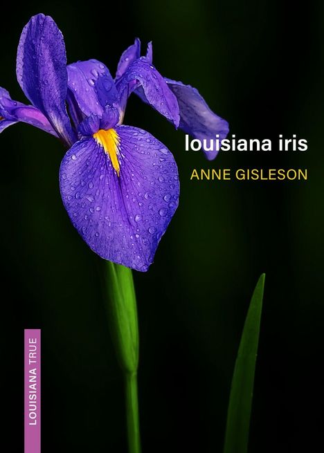 „louisiana iris“, „ANNE GISLESON“ und „LOUISIANA TRUE“ sind zu lesen. Eine violett-gelbe Iris mit Wassertropfen auf dunklem Hintergrund.