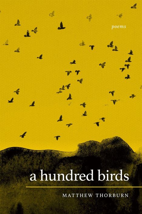 Text: "a hundred birds" von Matthew Thorburn. Illustration von fliegenden Vögeln vor einem gelben Hintergrund.