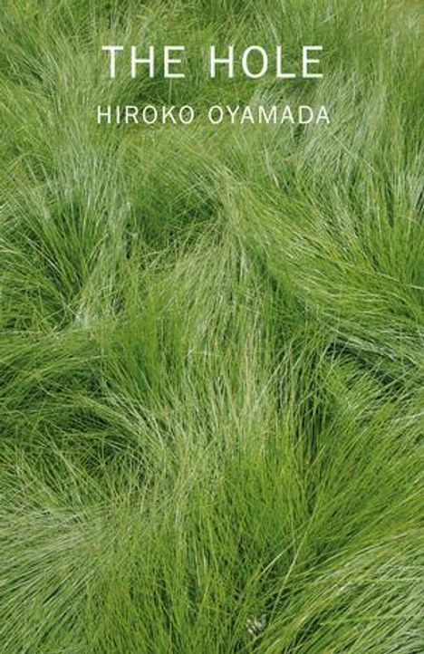 Hiroko Oyamada: The Hole, Buch