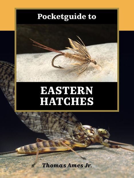 Thomas Ames Jr: Pocketguide to Eastern Hatches, Buch