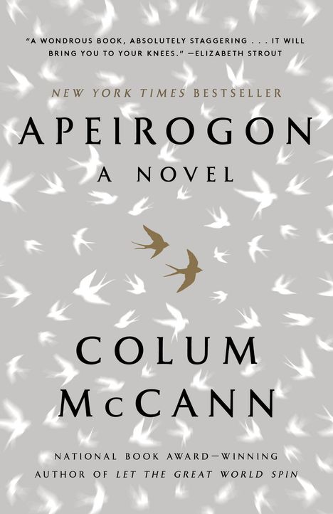 Colum McCann: Apeirogon, Buch