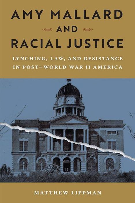 Matthew Lippman: Amy Mallard and Racial Justice, Buch