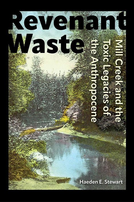 Buchcover mit dem Titel „Revenant Waste“. Naturbild mit Fluss, Bäumen und Spiegelung im Wasser. Autor: Haeden E. Stewart.