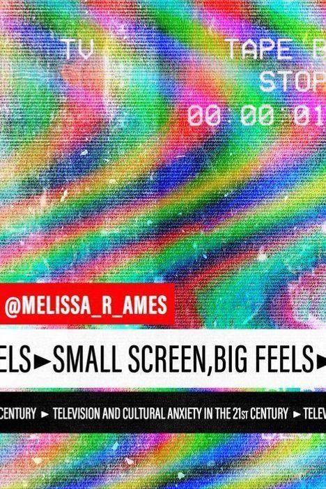 Melissa Ames: Small Screen, Big Feels, Buch