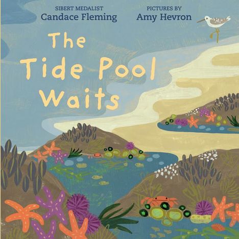 Candace Fleming: The Tide Pool Waits, Buch
