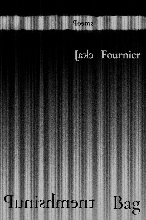 Jake Fournier: Punishment Bag, Buch