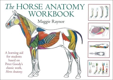 Maggie Raynor: The Horse Anatomy Workbook, Buch