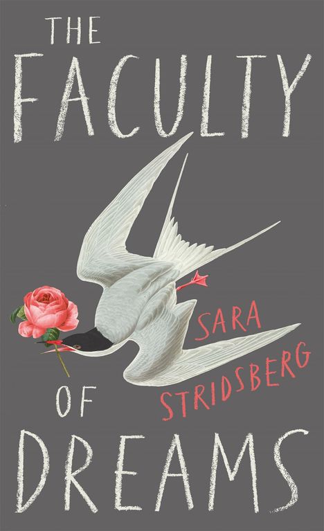 Sara Stridsberg: The Faculty of Dreams, Buch