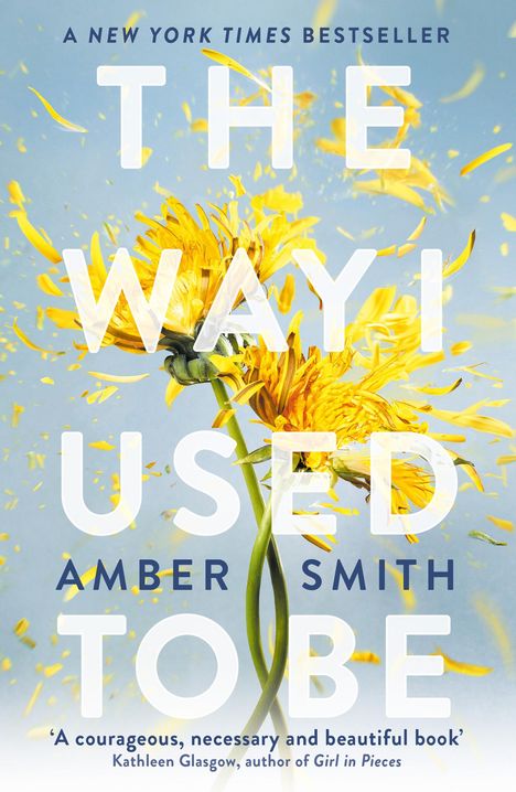 Amber Smith: The Way I Used to Be, Buch