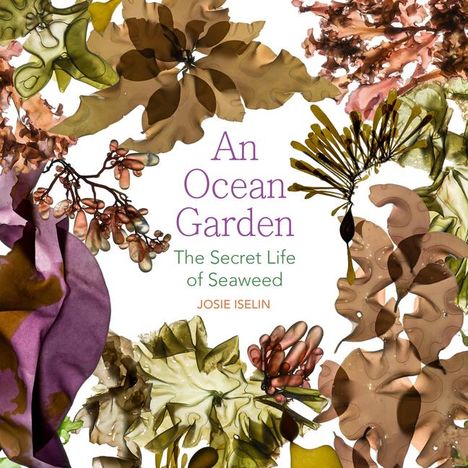 Josie Iselin: An Ocean Garden, Buch