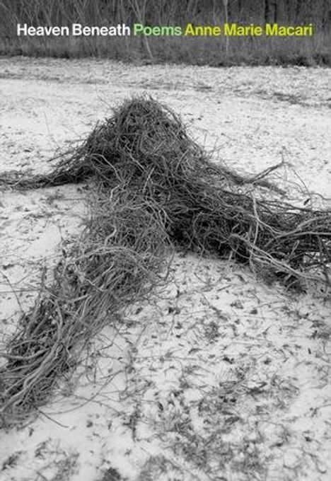 Anne Marie Macari: Heaven Beneath, Buch