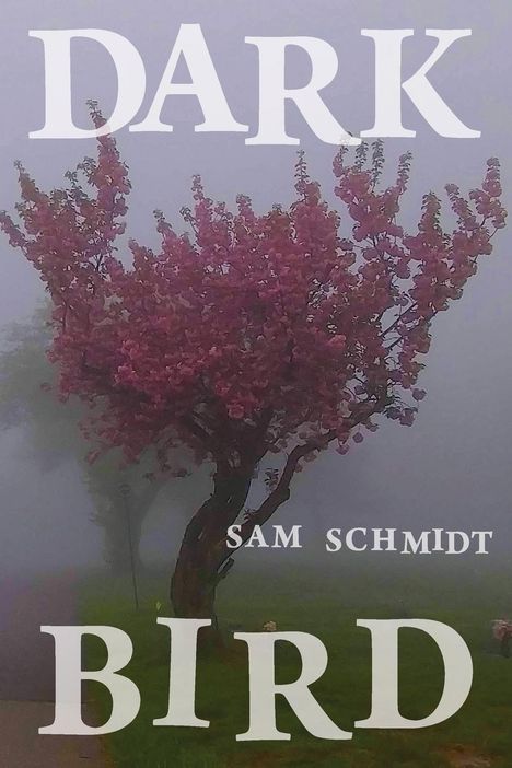 Sam Schmidt: Dark Bird, Buch