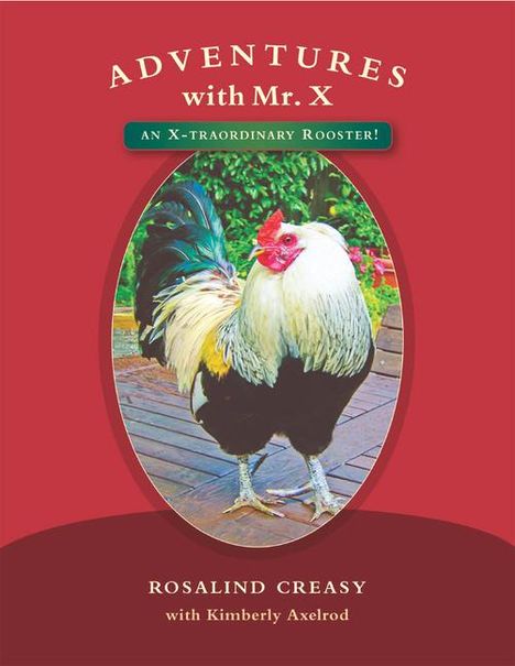 Rosalind Creasy: Adventures with Mr. X, Buch