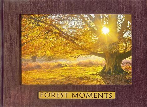 Richard Kraus: Forest Moments, Buch