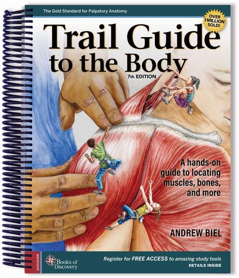 "Trail Guide to the Body", 7. Auflage. "A hands-on guide to locating muscles, bones, and more." Illustration: Menschen erkunden Muskeln.