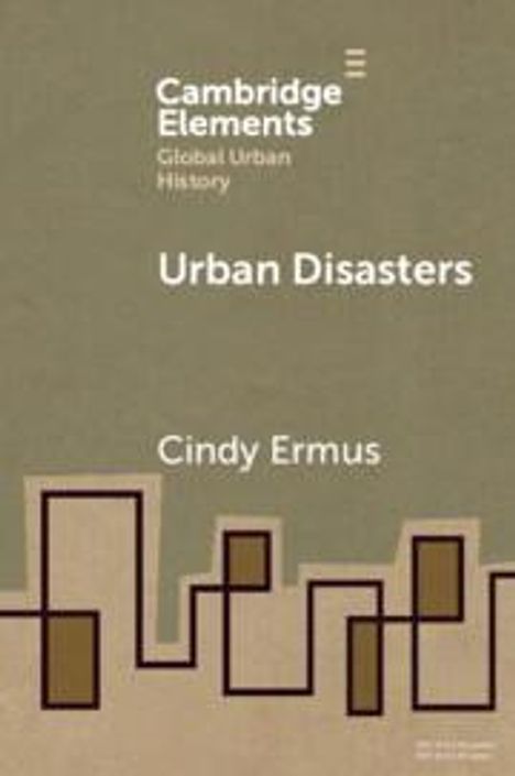 Cindy Ermus: Urban Disasters, Buch