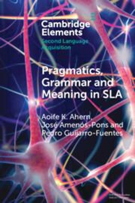 Aoife K Ahern: Pragmatics, Grammar and Meaning in SLA, Buch