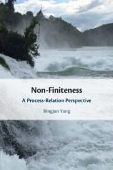 Bingjun Yang: Non-Finiteness, Buch