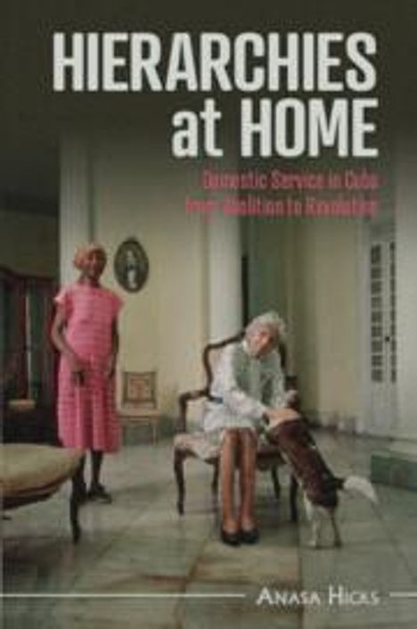 Anasa Hicks: Hierarchies at Home, Buch