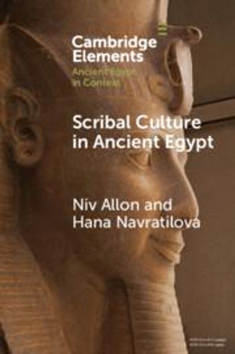 Niv Allon: Scribal Culture in Ancient Egypt, Buch