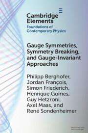 Philipp Berghofer: Gauge Symmetries, Symmetry Breaking, and Gauge-Invariant Approaches, Buch