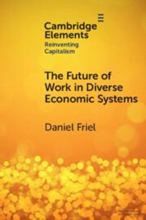 Daniel Friel: The Future of Work in Diverse Economic Systems, Buch