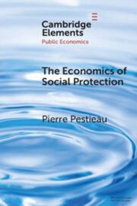 Pierre Pestieau: The Economics of Social Protection, Buch