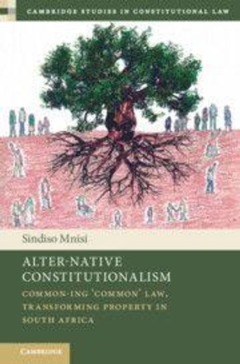 Sindiso Mnisi: Alter-Native Constitutionalism, Buch
