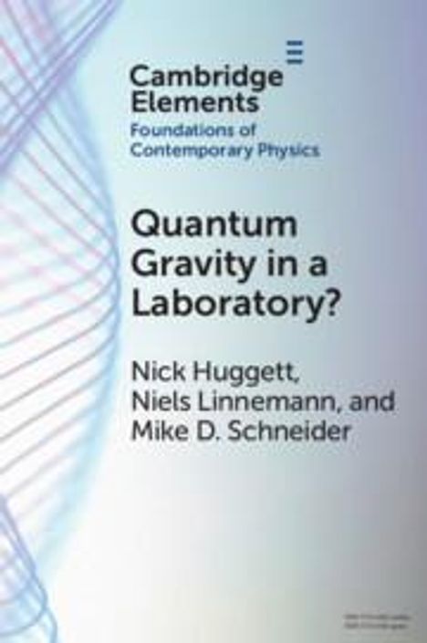 Nick Huggett: Quantum Gravity in a Laboratory?, Buch