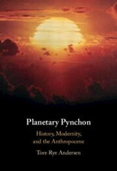 Tore Rye Andersen: Planetary Pynchon, Buch