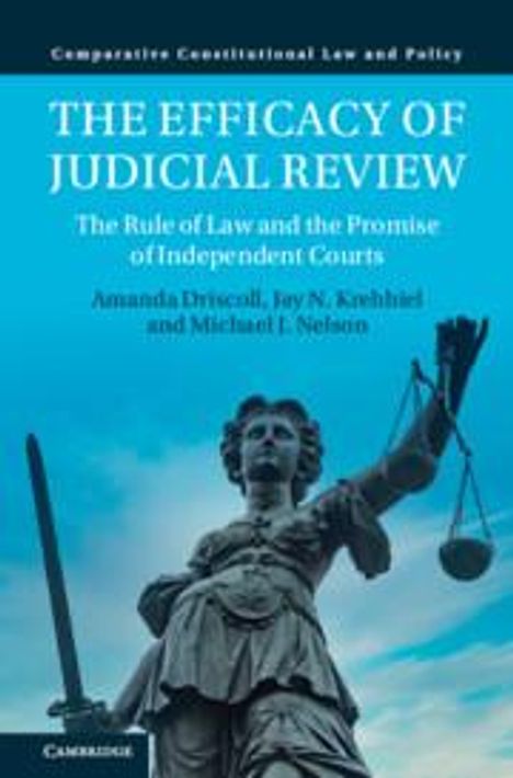 Amanda Driscoll: The Efficacy of Judicial Review, Buch