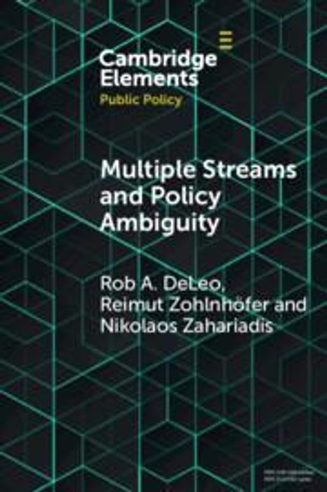 Rob A DeLeo: Multiple Streams and Policy Ambiguity, Buch