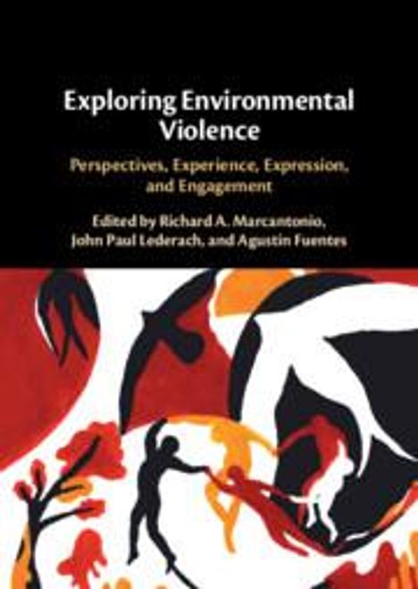Exploring Environmental Violence, Buch