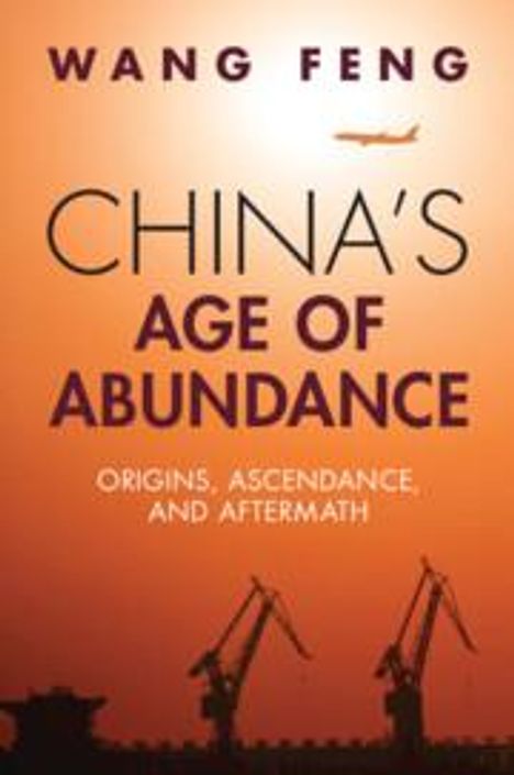 Feng Wang: China's Age of Abundance, Buch