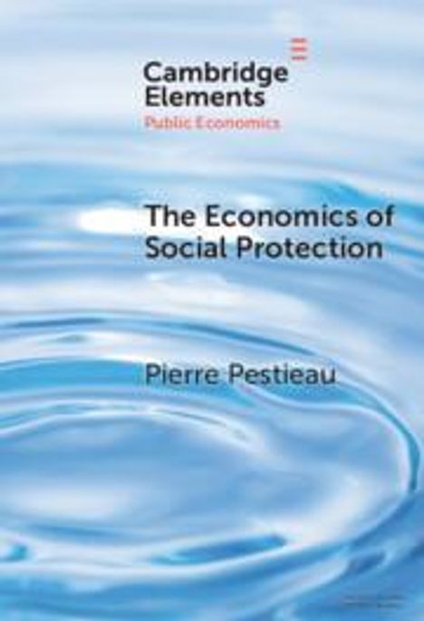 Pierre Pestieau: The Economics of Social Protection, Buch