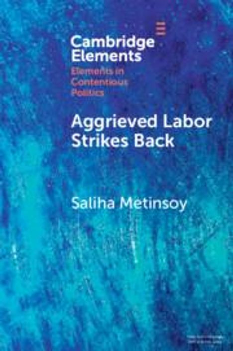 Saliha Metinsoy: Aggrieved Labor Strikes Back, Buch