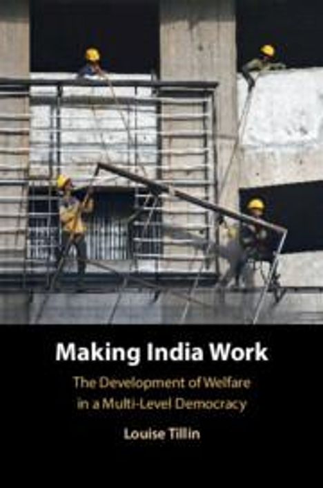 Louise Tillin: Making India Work, Buch