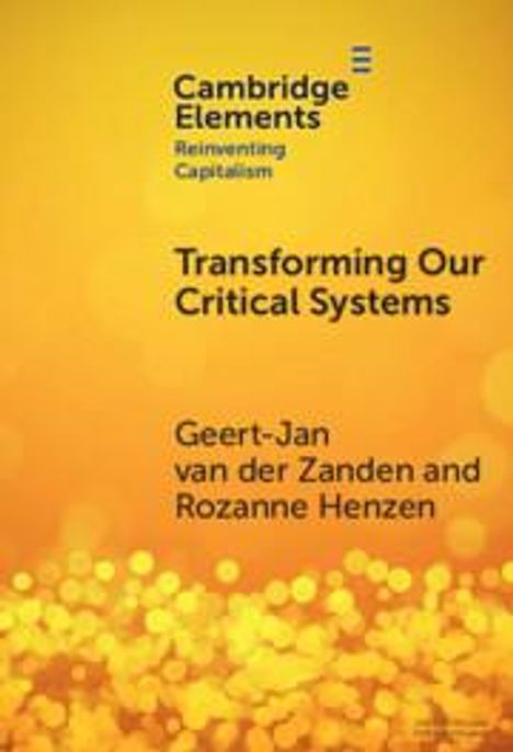 Gerardus van der Zanden: Transforming Our Critical Systems, Buch