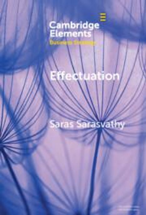 Saras Sarasvathy: Effectuation, Buch