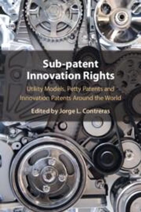 Sub-Patent Innovation Rights, Buch