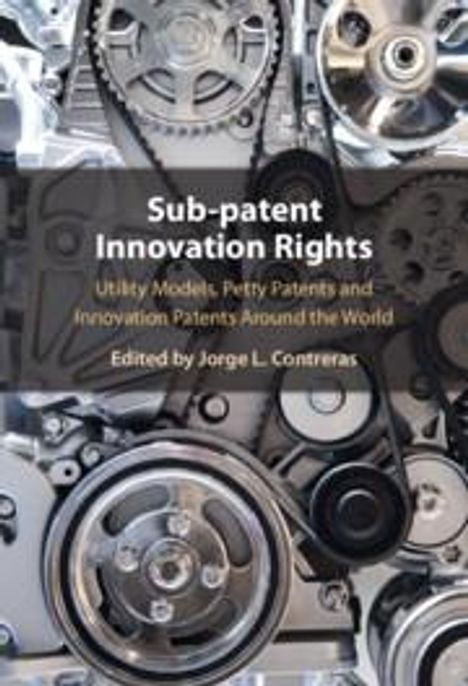 Sub-Patent Innovation Rights, Buch