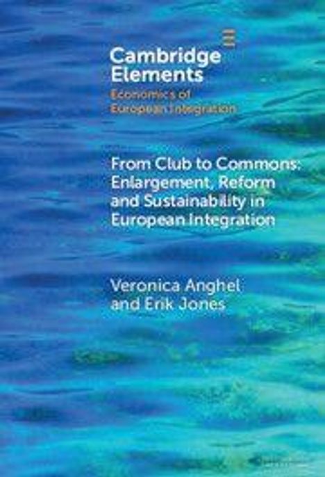 Veronica Anghel: From Club to Commons, Buch
