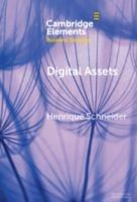 Henrique Schneider: Digital Assets, Buch