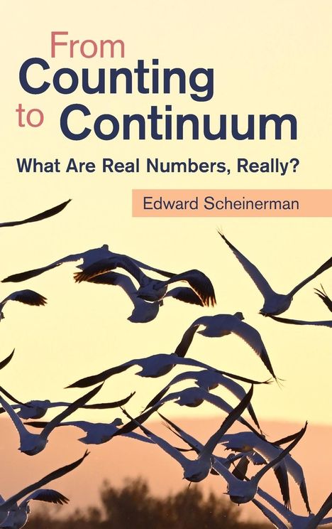 Edward Scheinerman: From Counting to Continuum, Buch