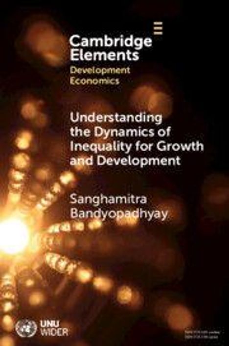 "Cambridge Elements: Development Economics. Understanding the Dynamics of Inequality for Growth and Development."  
Visueller Hintergrund mit leuchtenden Lichtpunkten.