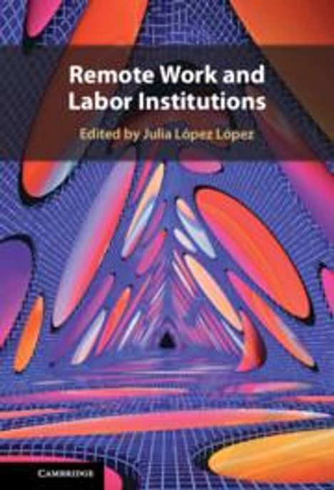 Remote Work and Labor Institutions, Buch